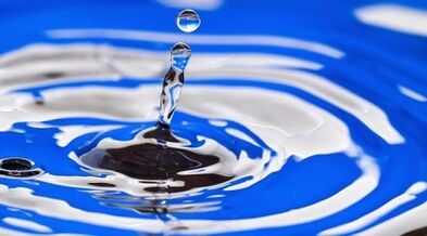 สาระสำคัญของการดื่มอาหารเพื่อการลดน้ำหนัก