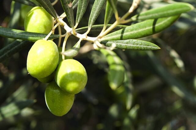 ประโยชน์ของการกินมะกอกในอาหารคีโตเจนิก